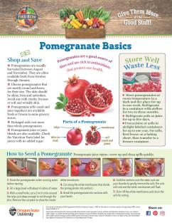 Pomegranate Food Hero Magazine